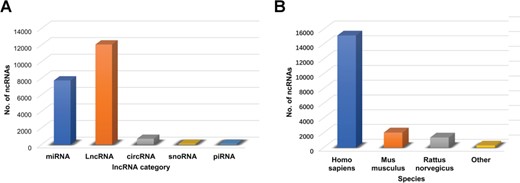 Descriptive statistics regarding the ncRNAs in the database. (A) Numbers of RNAs in the different RNA categories. (B) Numbers of RNAs in the various species.