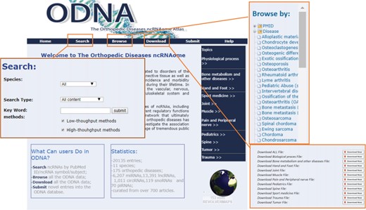 A schematic workflow of the ODNA.