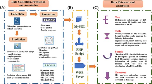 Schematic overview of IR database. (A) Data sources of PCIR. (B) Workflow of PCIR. (C) Data acquisition in the platform.