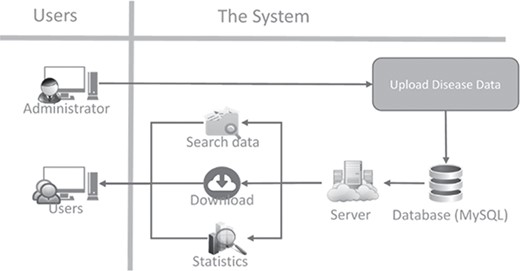 Structure of the neopeptide system.