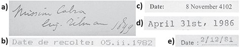 Examples of potential problems encountered while transcribing dates from specimen labels. (a) Handwriting difficult to interpret (1849 or 1899). (b) Symbolism used can be interpreted differently (5 February or 5 November). (c) Impossible but partially true date (correct year was 2002). (d) Impossible but likely mostly true date. (e) Uncertainty of order of day and month and missing century digits (2 December or 12 February, of 1981 or 1881). All examples from specimens in the Meise Botanic Garden herbarium.