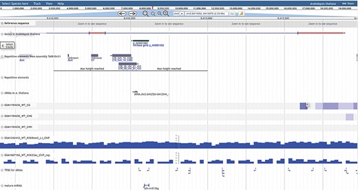 PRP genome browser. The total analyzed data of DNA methylation, RNA-seq, small RNA-seq and Histone modification profiling as well as annotation based information of genes, repeats, sRNAs/miRNAs, TFBS and reference genome available for visualization in the genome browser tracks.