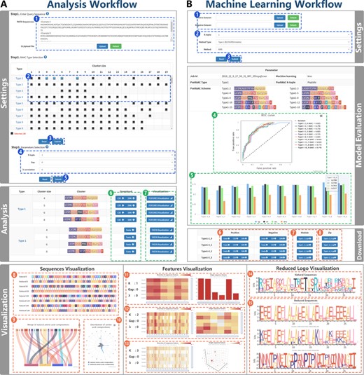 RAACBook analysis and machine learning workflow. Subfigure (A) The workflow shows the reduction analysis of natural amino acid sequence. Settings pane: After uploading primary sequences in fasta format (Step 1) and the alphabet types of interest were used as input (Step 2). If only these parameters are submitted, the server can generate reduced sequence files (Step 3). If the aim is to produce sequence feature files for machine learning, users need to select three parameters (Step 4) and submit (Step 5). Analysis panel: there are three files for download (Step 6). The reduced amino acid sequences are visualized by clicking ‘Visualization’ button (Step 7). Sequences visualization: three charts were exhibited: alignment between natural and reduced amino acid sequences (Step 8), mergence of natural amino acid composition (Step 9), and distribution of amino acid composition (Step 10). Features visualization (Steps 11–13): according to different reduced alphabets and parameters, service will generate the K-tuple reduced amino acid composition heat map of multiple sequences and the distribution of single reduced sequence peptides. Reduced logo visualization (Steps 14–15): the figure represents each amino acid information of each position in protein sequence based on the reduced alphabet. Subfigure (B) Machine learning workflow shows the acquisition of the classifier model by uploading datasets and setting parameters. Settings panel (Steps 1–3): K-tuple, the alphabet type and the machine learning algorithm are selected (Step 2), after uploading fasta files containing positive and negative datasets (Step 1). Subsequently, the machine learning service was executed (Step 3). Model evaluation: the chart of Sp, Sn, Acc, Mcc and the diagram of the ROC curve are generated (Steps 4 and 5), and the classifier model and vector files can be downloaded (Steps 6–8).