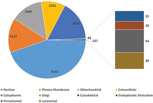 The distribution of silkworm genes in different cellular subunits.