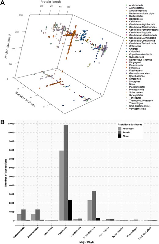(A) Three-dimensional projection of nucleotide and protein sequence length according to phylum. Length of protein sequences, length of nucleotide sequences and number of phyla are shown on the x-axis, y-axis and z-axis, respectively. Protein sequences without a corresponding nucleotide sequence in the database are indicated on the z-plane. (B) Phylum affiliations of nucleotide, protein and clone accessions in AcetoBase. Phyla containing less than 20 accessions are not shown.