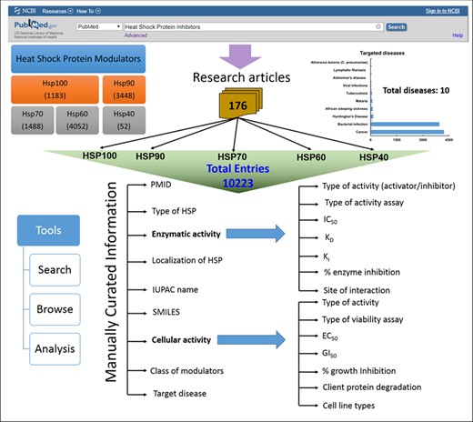Architecture of HSPMdb.