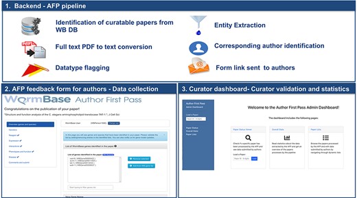 Overview of the AFP system.