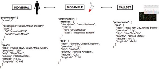 Metadata representation for a geolocation attribution approach based on concepts being developed at GA4GH. Each extracted ‘Biosample’ from an ‘Individual’ and its ‘Callset’ (i.e. experimental read-out) maintain a relation; ethnicity and geographical provenance of a biosample could be tracked through the attributes at the ‘Individual’ level.