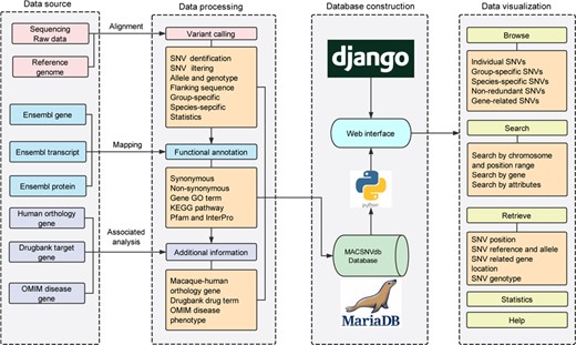 Database construction overview and the functionality of MACSNVdb.