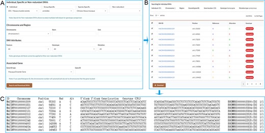 Screenshots of the search result pages. A. Search for individual SNVs, specific SNVs or non-redundant SNVs by specifying chromosome and position range or associated gene. B. Search result table allows users to select desired SNVs to download. C. SNV list with detailed information obtained by downloading.
