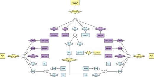 Ontology view of annotation for functional residues. Diamonds represent relationships; rectangles represent terms in the ontologies. Purple nodes, annotation details from EMO; yellow nodes, annotation details from the EFSO; blue nodes, details of specific residue location and type. EFDs shown in this figure are the same as those describing UniProtKB protein Q97U27 (EFD:51, gluconate dehydratase family) and UniProtKB protein P11444 (EFD:94, mandelate racemase family) in Figure S1. Though each of the two EFDs shown has multiple functional residues, only one is shown in the figure due to space constraints. The chosen residue has the same functional role in each EFD (and maps to the same position in the MSAs for the subgroup and superfamily that include both EFDs), though the amino acid type differs (Asp at position 195 for EFD 94, Glu at position 197 for EFD 51).
