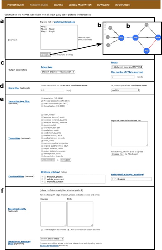MIPPIE’s NETWORK QUERY tab offers the most advanced search and filtering options. (a, b) Users can type in or upload a list of proteins or protein pairs to quickly generate a visual representation of the network they form. (c) The results can be explored in a variety of output formats and constrained to 0-, 1-level neighbors or to a minimum number of interactions to the query set. (d) In addition, the quality of the output network can be fine-tuned with confidence score filters. (e, f) This tab also allows for the construction of tissue-, function- or disease-specific networks and for the prediction of interaction directionalities and/or effects.