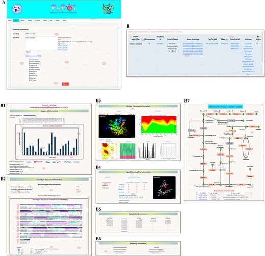 A depiction of different pieces of information provided in PvP01-DB about sequence, structure, ligand binding site, function annotations and metabolic pathways.