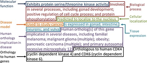 Example of the gene summary for the C. elegans gene cdk-4 with the different data categories highlighted in different boxes.