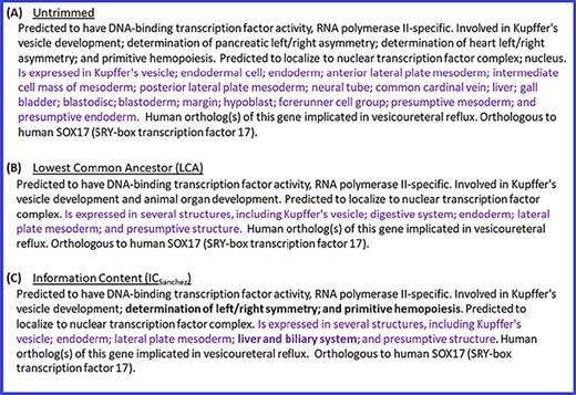 Untrimmed and trimmed summaries for the zebrafish gene sox17. (A) Untrimmed summary that shows all the 25 terms annotated to the gene. (B) The summary trimmed with the LCA-based algorithm. (C) The summary trimmed with the algorithm based on ICSanchez. Text highlighted in purple indicates the tissue expression data category, which has 17 terms in the untrimmed summary. Text in bold shows the difference between (B) and (C).