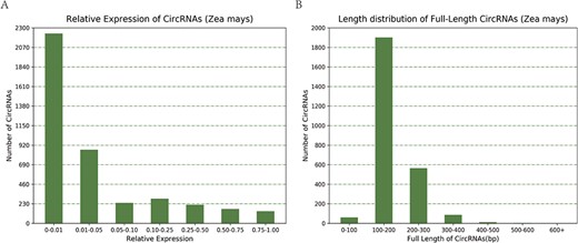 (A) Relative expression of circRNAs in Zea mays. (B) Length distribution of full-length circRNAs in Zea mays.
