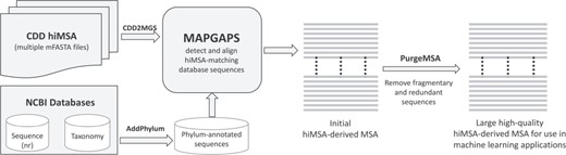 Steps required to create a large, high-quality MSA using the CDD hiMSAs and programs described here.