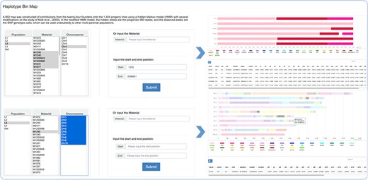 Haplotype bin map tools developed in MaizeCUBIC to display the mosaic structure for progenies in population.