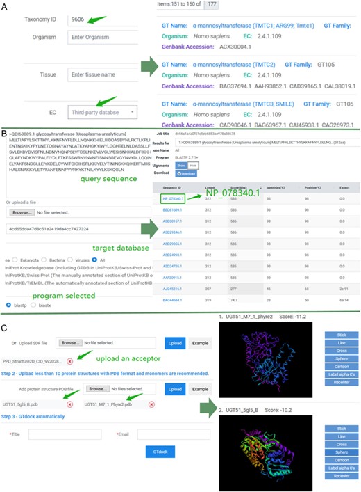 Examples of application of GTDB. (A) An example of advanced search. Input ‘9606’ into the ‘Taxonomy ID’ box of taxonomy module and choose ‘Third-party database’ for EC in the function module. Subsequently, there were totally of 177 entries in GTDB. Users can select any of them to view the details. (B) An example of sequence search. Paste the sequence of ‘QDI63889.1’ and select the ‘All’ as the target database. The default 250 aligned sequences will be displayed on the BLAST results page. (C) An example of the use of GTdock. Enter the example data on the GTdock page and the result link is mailed to the user. Note that the docking algorithm is non-deterministic of Vina, so the minimum score of enzyme-acceptor pair will produce some nuances in different operations (23).