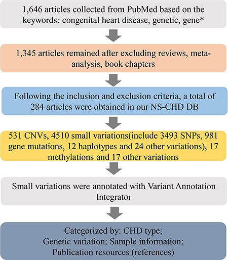 The schematic flow of the NS-CHD data collection and construction. After a series of standard selections, there were 284 articles selected from PubMed and incorporated into our database construction.