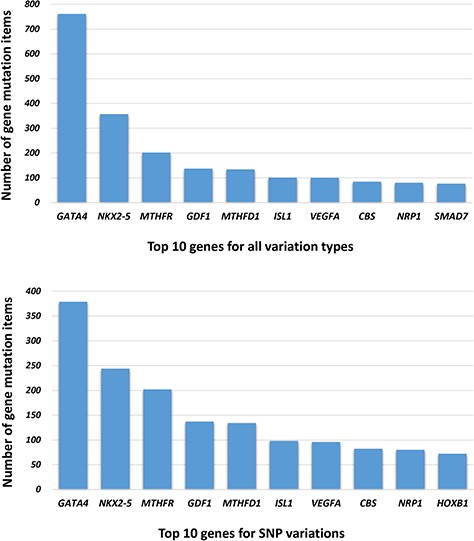 The top 10 genes associated with NS-CHD in the CHDGKB. (Figure 5A shows the top 10 genes with all variations for NS-CHD; Figure 5B shows the top 10 genes associated with SNP variation.)