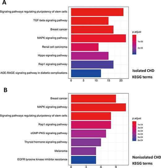 Pathway enrichment analysis for genetic variations of NS-CHD. The statistical significance level (p.adjust, adjusted P-value) was depicted as different color. (Figure 8A, the top eight significant KEGG terms for isolated CHD; Figure 8B, the top eight significant KEGG terms for non-isolated CHD. X-axis indicated number of enriched genes; Y-axis indicated enriched pathways.)
