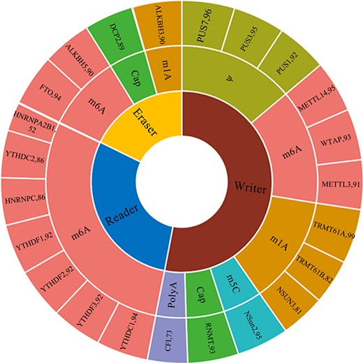 Statistical analysis of RNAWRE. The number effectors in each kind of modifications.