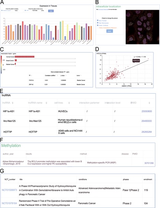 Screenshots from the genes section. (A) Expression profiles; (B) intracellular location; (C) heat plot; (D) scatter plot; (E) manual curated regulators; (F) DNA methylation; (G) animal models.