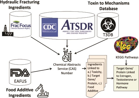Method for linking hydraulic fracturing ingredients (i.e. chemicals) with information on toxicity (ATSDR), gene and protein targets (T3DB) and food additives Everything Added to Food in USA (EAFUS). We linked the hydraulic fracturing ingredients to information on toxicity, gene and protein targets for each chemical and whether or not the chemical was a food additive using their Chemical Abstracts Service (CAS) numbers. We further linked the gene/proteins to estrogen, testosterone or hormone pathways using KEGG pathways.