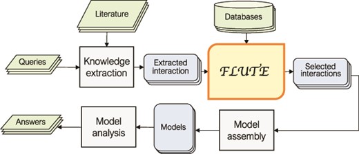 An outline of the role of FLUTE in the automated information extraction and the model assembly and analysis flow: FLUTE uses available databases to filter extracted interactions obtained as output of knowledge extraction process from available literature, which is usually initiated by user queries. The selected interactions from FLUTE are inputs to model assembly that creates models, which are then explored with model analysis in order to provide answers to user questions.