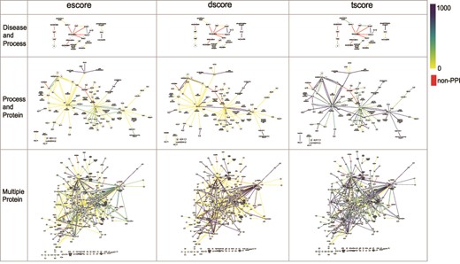 The networks of selected PPI interactions for the Disease and Process set (top row), Process and Protein set (middle row), and Multiple Protein set (bottom row), where each edge color represents a value of escore (left), dscore (middle) or tscore (right). Each PPI edge is colored by the indicated score type, from the minimum (0) to the maximum score (1000). A red edge indicates a non-PPI.