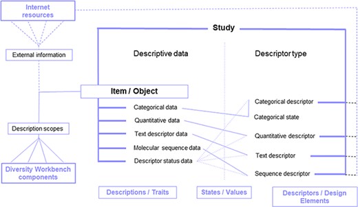 DiversityDescriptions enabling free definition of descriptors and descriptor states for the representation of descriptive data of a study item based on various basic data types and enrichment via ‘description scopes’ by linking Diversity Workbench modules and external web resources.
