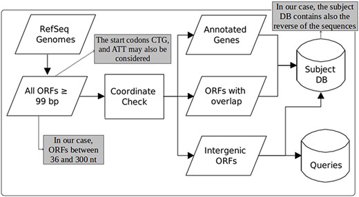 Construction of queries and the subject database (adapted from the work of Warren et al. (22)). The original figure can be identified by white-background shapes. Illustrated in gray, the differences in our case are: only ORFs of length between 36 and 300 are considered; the start codons CTG and ATT may also be taken into account in addition to ATG, GTG and TTG; and the sequences that compose the subject DB are the ones coming from the three groups plus their reverse.