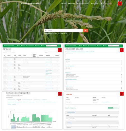 ThRSDB web interface. (A) Homepage with the top navigation menu and the Search form. The flag icons are for switching between English and Thai version. (B) Browse page. The Search box is provided on the top menu of every page except the homepage. (C) Advanced Search page. (D) A bar chart comparing the percentage amylose between cultivars. Other starch properties are listed, which can be selected to display the corresponding chart. (E) The page presenting detailed information on a selected cultivar.