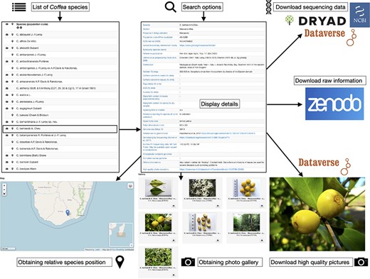 Flowchart showing the database use and outputs.