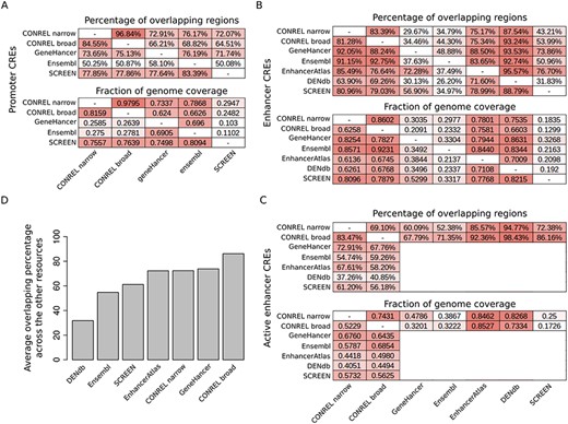 Comparison of CONREL CREs with other regulatory elements resources. (A) One-to-one comparison between CONREL, GeneHancer, Ensembl and SCREEN promoters. Each cell in the top matrix indicates the percentage of promoters annotated in the corresponding row resource that have an overlapping with the promoters annotated in the corresponding column resource. Each cell in the bottom matrix indicates the fraction of the genome covered by the promoters annotated in the corresponding row resource that is also captured by the promoters annotated in the corresponding column resource. (B) One-to-one comparison between CONREL, GeneHancer, Ensembl, EnhancerAtlas, DENdb and SCREEN enhancers. (C) One-to-one comparison between CONREL active enhancer and GeneHancer, Ensembl, EnhancerAtlas, DENdb and SCREEN enhancers. (D) Average percentage of CONREL active enhancer and GeneHancer, Ensembl, EnhancerAtlas, DENdb and SCREEN enhancers that have overlapping with each of the other resources.