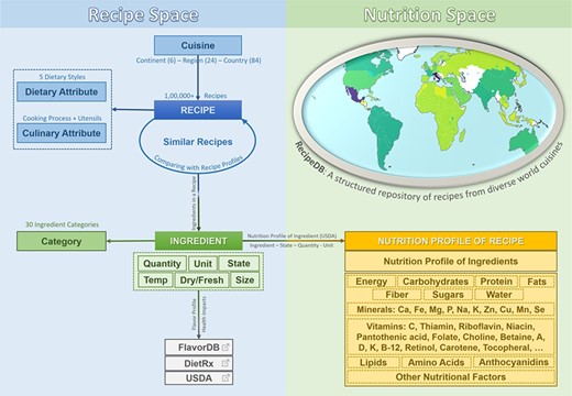 RecipeDB integrates the elements and attributes (Recipe Space) with the USDA nutritional profiles (Nutrition Space) and also links them to flavor and health attributes. The resource provides comprehensive coverage of worldwide recipes from across 26 world regions and 74 countries.