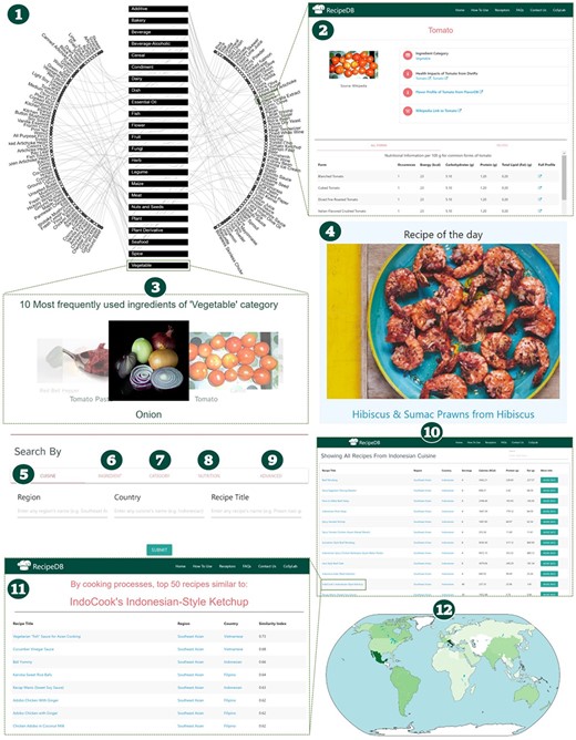 Schematic of RecipeDB user interface highlighting features for searching and navigation of data (1). Recipe Network (2), Ingredient Profile (3), Category Profile (4), Ingredient of the day, (5)–(9) Search by Cuisine, Ingredient, Category, Nutrition and Advanced Search, (10) Results page for recipes search, (11) Similar recipes page and (12) RecipeDB Statistics (Recipes, Categories, Ingredients, Nutrition, Processes and Utensils).