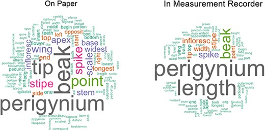 Word clouds generated using the definitions entered on paper versus those recorded in Measurement Recorder in Shared Experiment. The word clouds show that using Measurement Recorder reduces the number of unique content words used in character definitions.