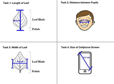 The four measuring tasks used in the Individual Experiment.