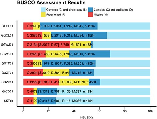 BUSCO scores of the eight sturgeon transcriptome assemblies found in TSA plus the sturgeon reference database named SSTbd.