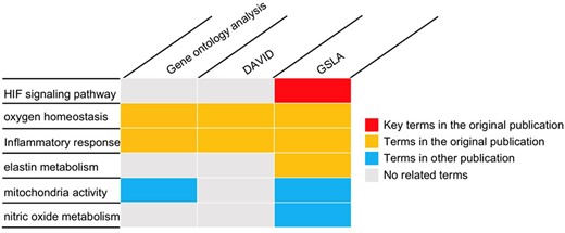 The gene set annotations produced by PRID/GSLA. The annotations produced by GSLA are more comprehensive and inspire further mechanism studies. We performed DAVID and gene ontology analysis for comparison.