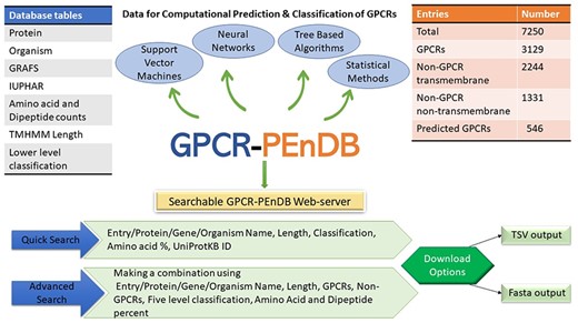 G protein-coupled receptor Prediction Ensemble Database (GPCR-PEnDB) overview showing the tables in the database, number of sequence entries, available web-server search options, and different types of algorithms for GPCR prediction and classification.