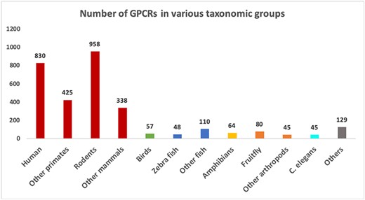 Number of sequences in different groups of organisms in the GPCR datasets. Groups with more than 40 sequences are shown as separate bars. The remaining ones are grouped as “Others”.