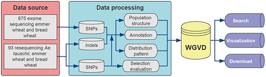 Data sources and analysis pipeline used to build the database.