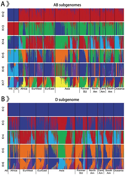 Population structure of 968 accessions.