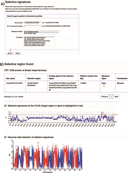 Screenshots of a search for genomic selection data and the result display for example.