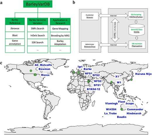 Framework, implementation, and date collection of BarleyVarDB. (a) The framework and aims for building BarleyVarDB. (b) The overview of the implementation of BarleyVarDB. (c) The geographic distribution map of barley accessions collected in BarleyVarDB.
