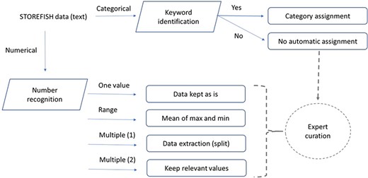 Data processing and feature extraction workflow. Traits defined as numbers were extracted using python’s regular expression, text entries were extracted semi-automatically by keywords extraction. Incomplete or difficult data extraction were curated by experts.