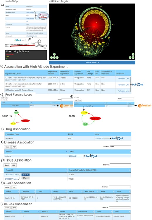 Web image of the miRNA information page. (a) The first section of hsa-let-7b-5p miRNA information page with details about the miRNA and hyperlinking to external databases like miRBase and RNAcentral. (b) The second section shows information related to experimental details of DE human miRNA under HA conditions in published literature. (c) The web image of the miRNA–FFL in tabular format. (d) The web image of the TF–FFL in tabular format. (e) miRNA associations with drug. (f) miRNA associations with different disease. (g) miRNA expression level in different tissues. (h) GO functional enrichment of the miRNA targets. (i) KEGG pathway enrichment of the miRNA targets. The lengthy tables can be searched through ‘search’ box and information in table can be download in both Excel and PDF formats.